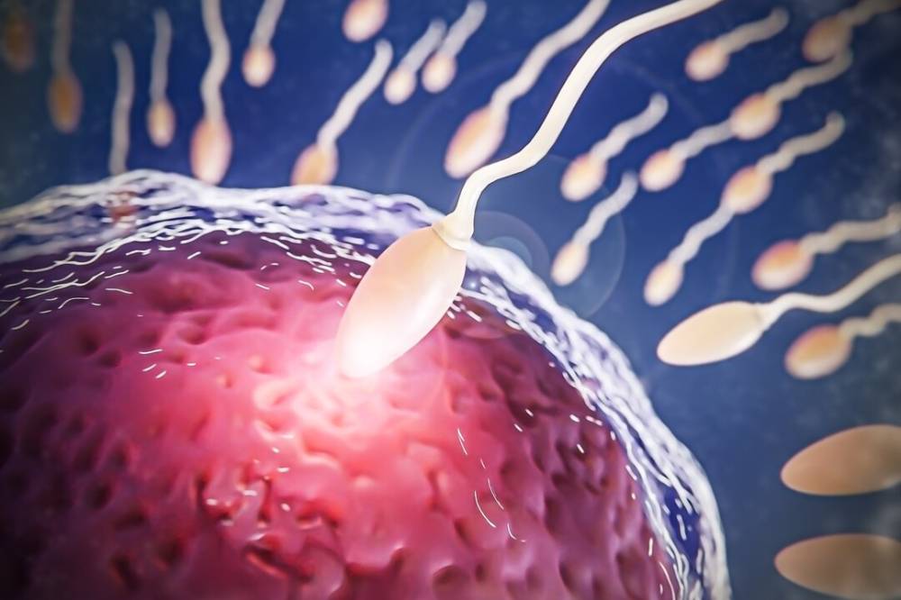 Vitamin D (3).png