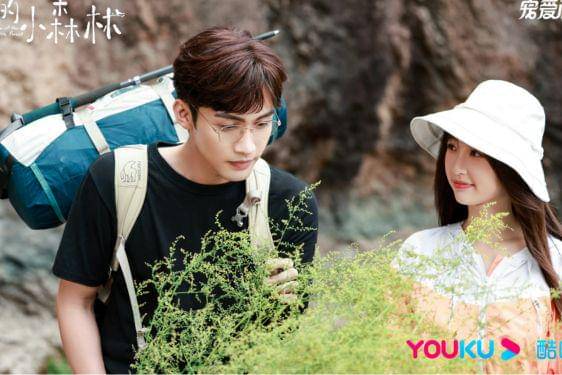 A Romance of the Little Forest.jpg