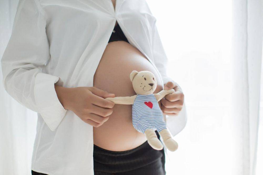 Pramono Anung Minta Maaf atas Penolakan Cuti Melahirkan Eks PPSU (4).jpg