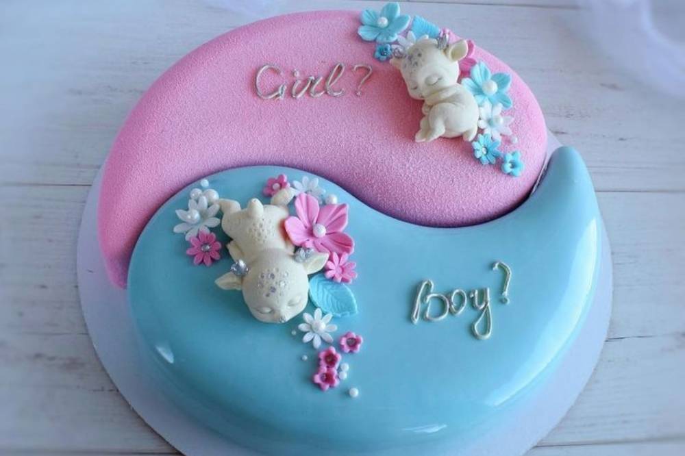 Tema kue gender reveal .png
