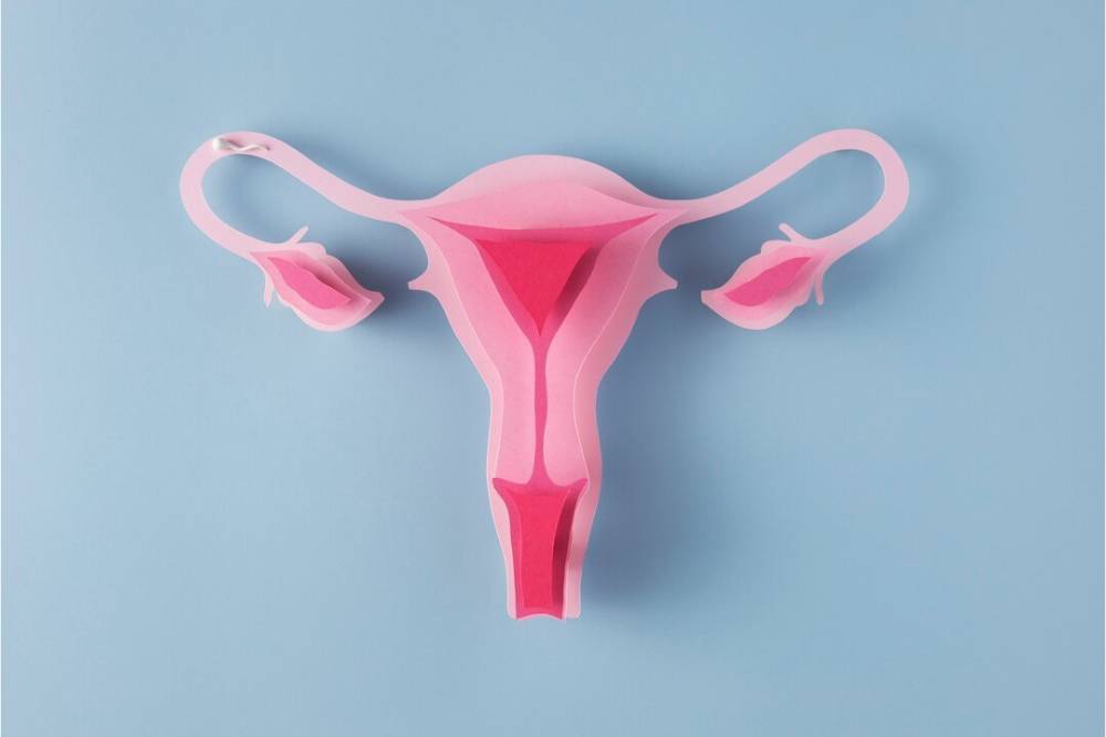 Perempuan yang pernah menggunakan IUD.png