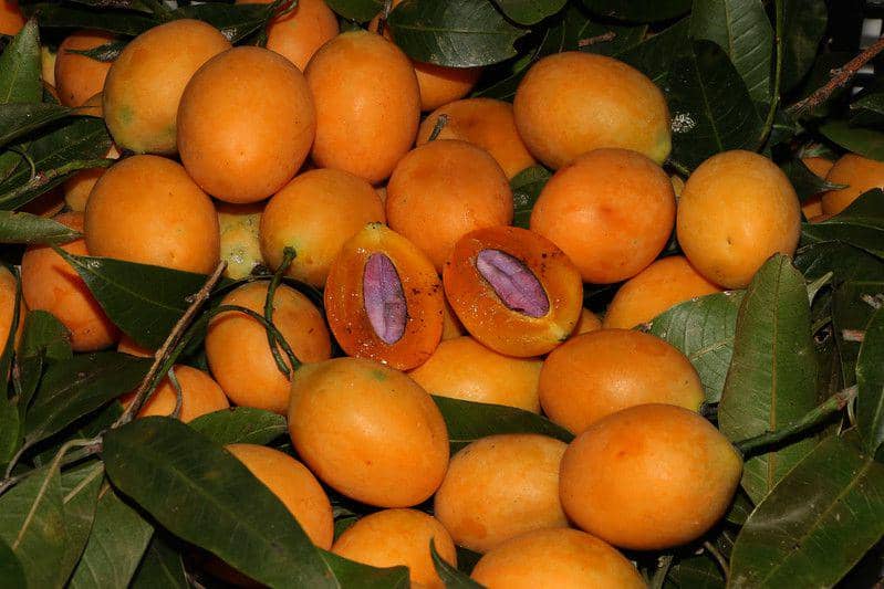 Mengenal Gandaria, Buah Asli Indonesia yang Hampir Punah