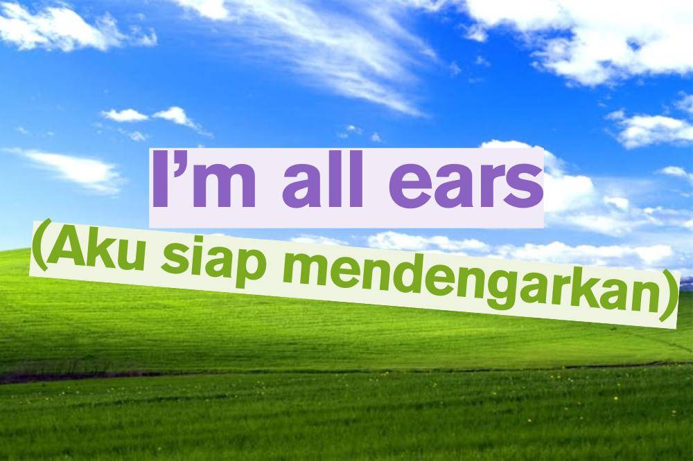 I'm all ears
