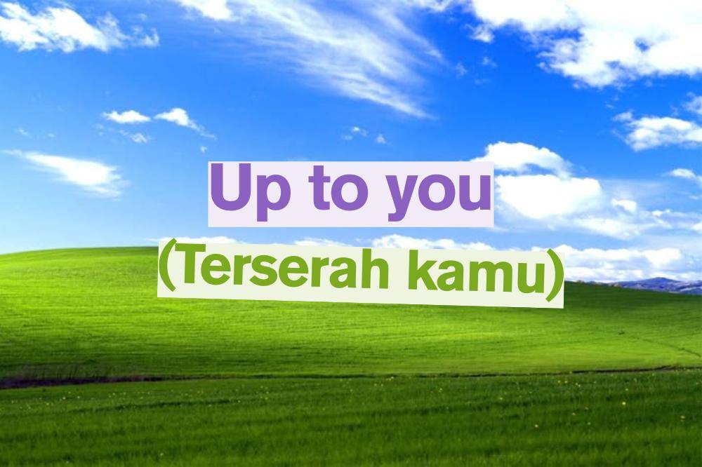 Up to you