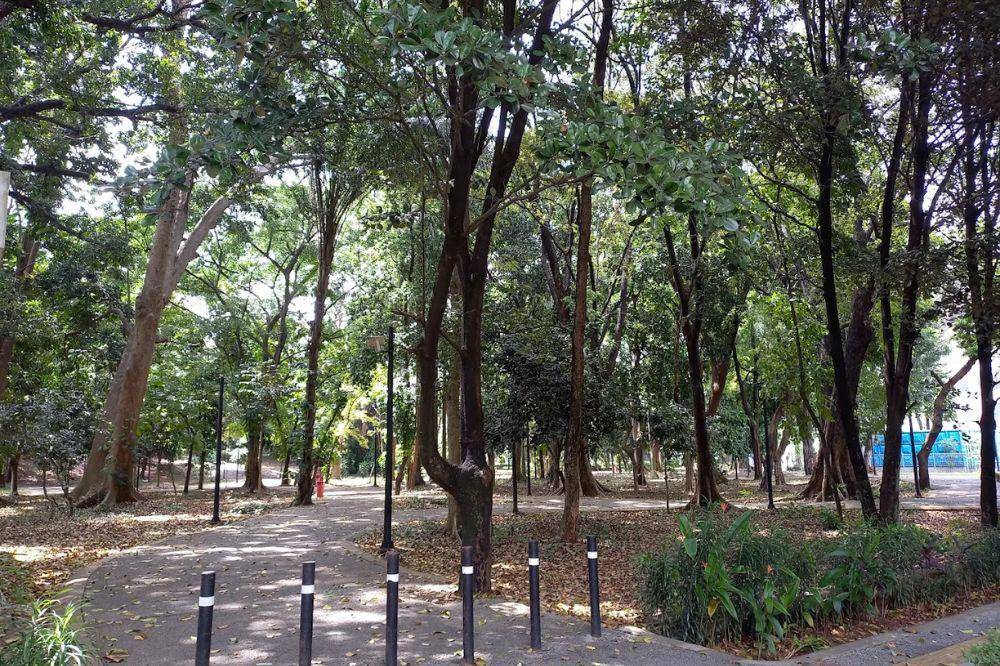 Hutan Kota GBK