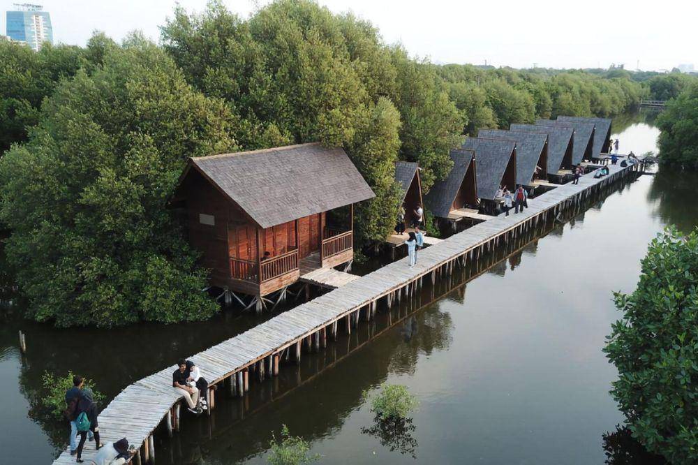 Hutan Mangrove PIK