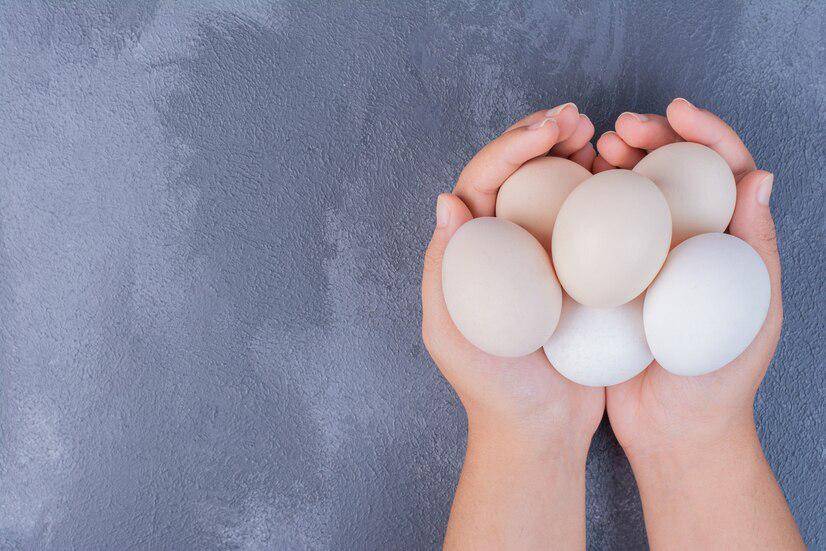 Membuat camilan telur