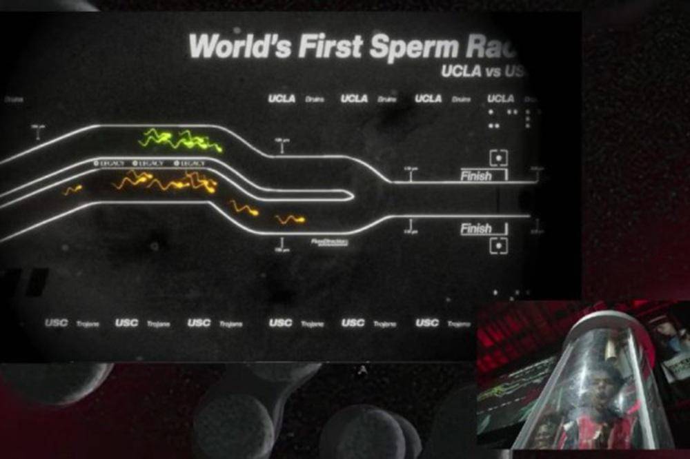 Sperm Racing