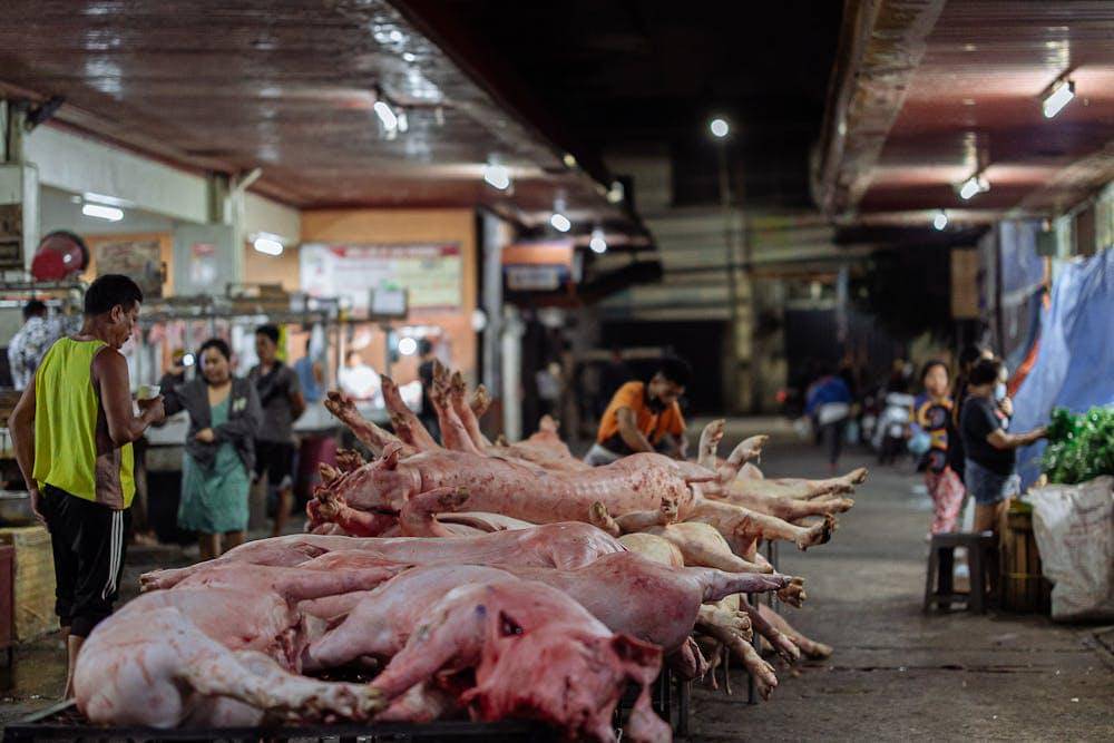 daging babi di pasar