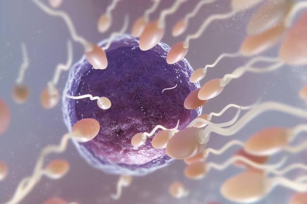 Cara Menjaga Hormon Testosteron Laki-Laki agar Tetap Optimal! (2).png