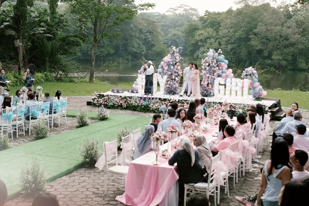 Gender Reveal Sarah Gibson.png