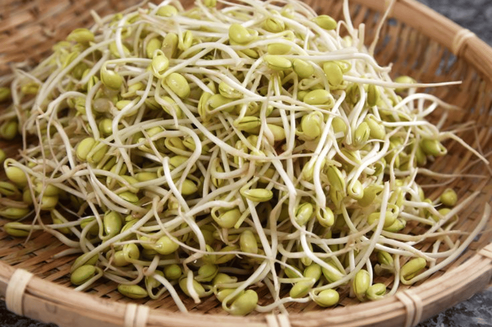 Kandungan gizi dalam tauge.png