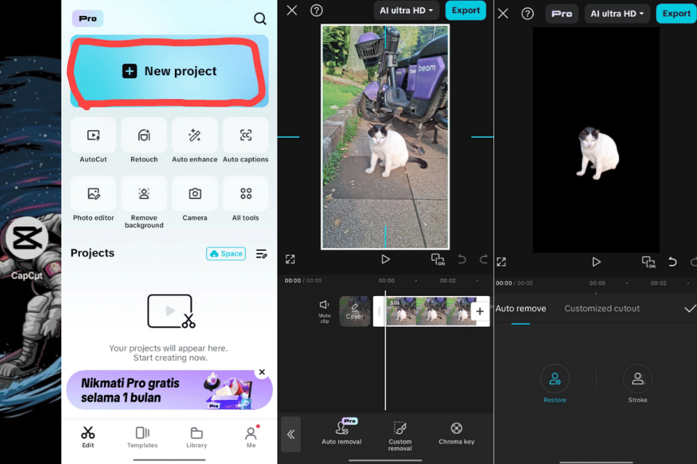 Bagaimana Cara Menghapus Latar Belakang Pada Avatar di Capcut 2.png