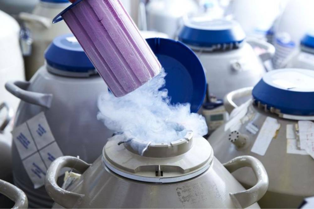 Keunggulan dan Risiko Egg Freezing .png