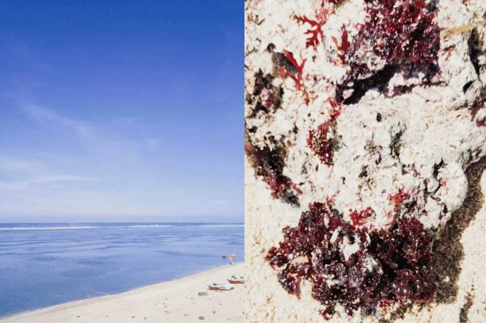 pantai garut- sayang heulang