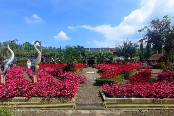 Taman Begonia.jpg