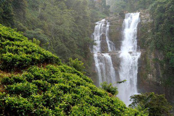8 Tempat Wisata Kediri yang Punya Alam Asri dan Kaya Akan Religi