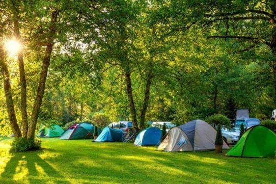 Pine Forest Camp Lembang.jpg