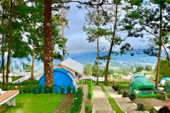 Awan Putih Agrowisata Glamping & Mini Resto.jpg