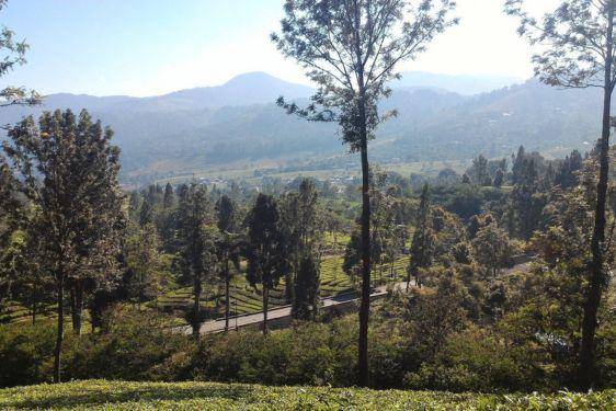 12 Wisata Puncak Bogor yang Estetik Abis, Ada Nuansa Kota Venice!