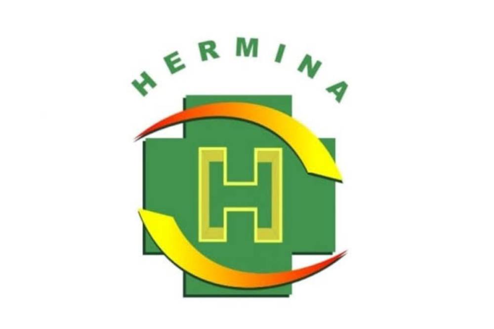 Rumah Sakit Hermina.png