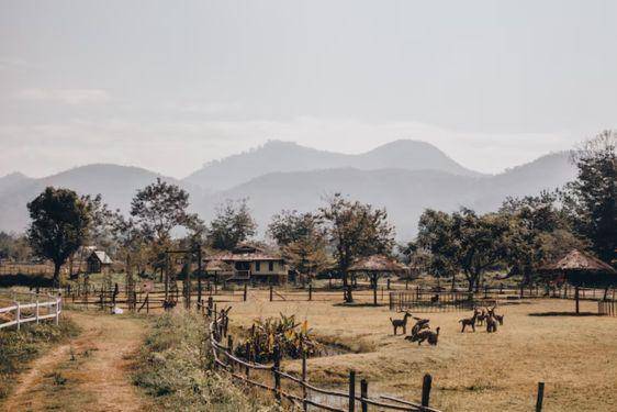 12 Wisata Puncak Bogor yang Estetik Abis, Ada Nuansa Kota Venice!