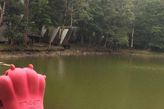 12 Wisata Puncak Bogor yang Estetik Abis, Ada Nuansa Kota Venice!