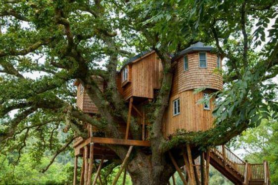 Rumah Pohon Jatiasih.jpg