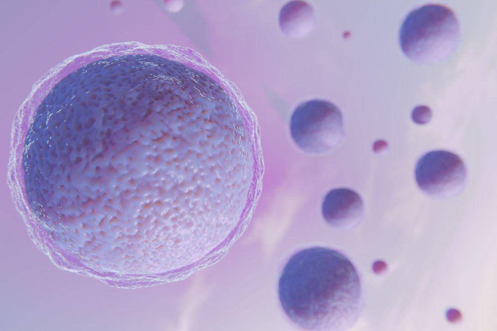 egg freezing 3.jpg