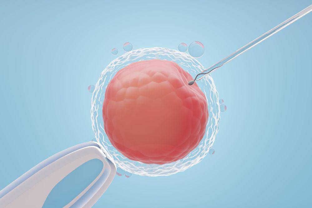 egg freezing 1.jpg