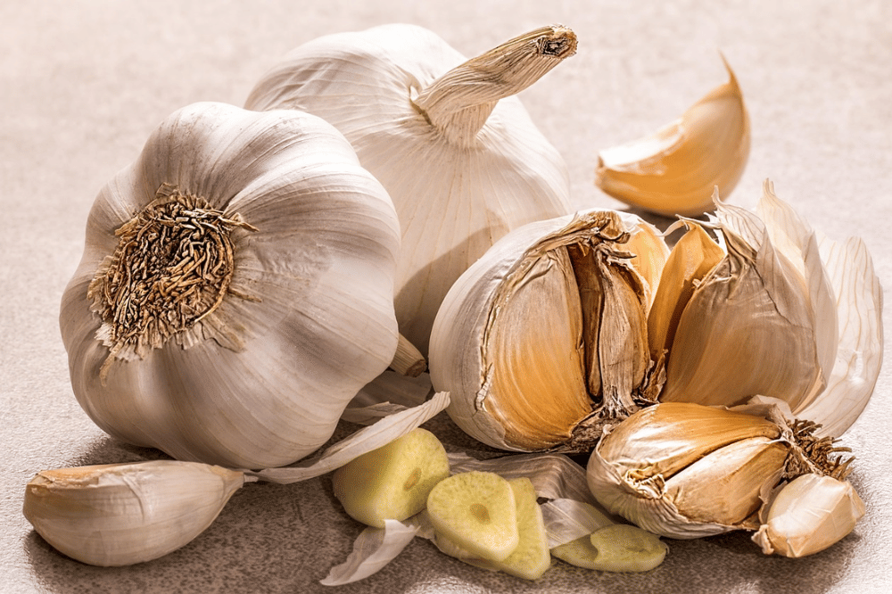 Bawang putih, sisa tanaman sayur yang bisa ditanam ulang