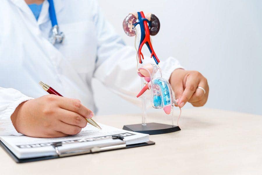 Apakah Kanker Prostat Bisa Sembuh? Ini Penjelasan Ahli