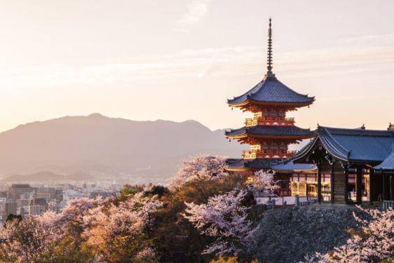 Itinerary Jepang 7 Hari 6 Malam, Jelajahi Tokyo hingga Kyoto 5.jpg
