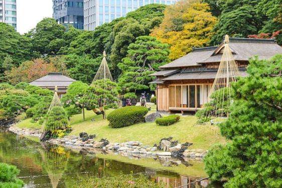 Itinerary Jepang 7 Hari 6 Malam, Jelajahi Tokyo hingga Kyoto 7.jpg