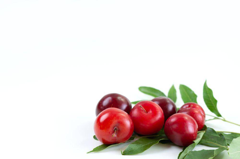 buah cranberry.jpg