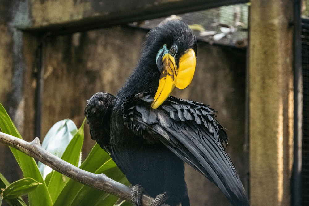 4. 24 Wisata Ubud yang Ikonik dan Menarik Dikunjungi.png