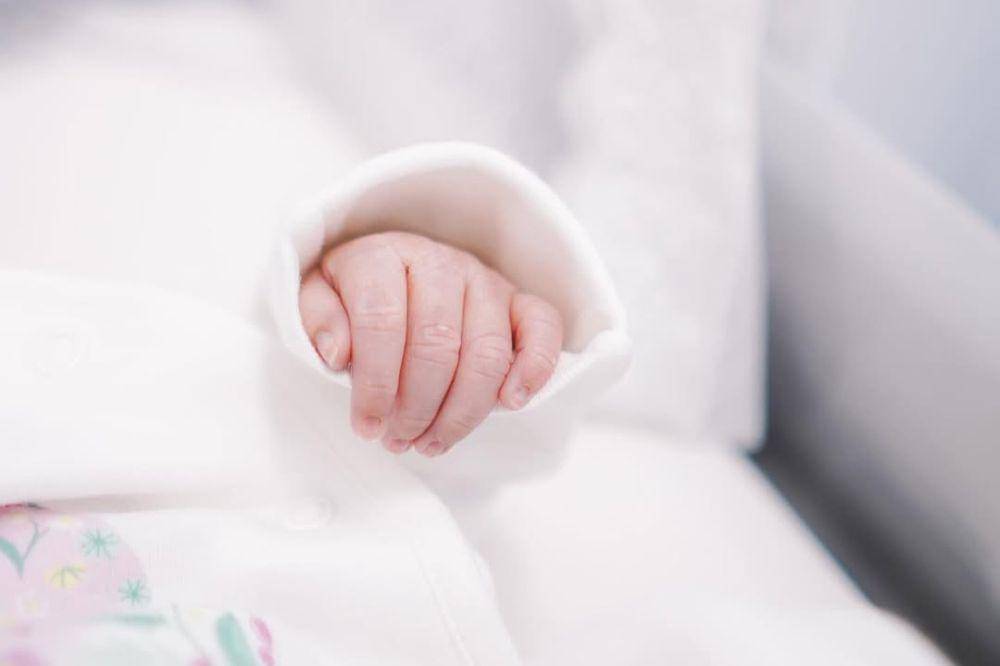 Bayi Velove Vexia.jpg