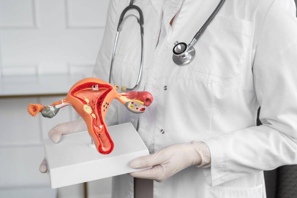 ilustrasi vagina.jpg