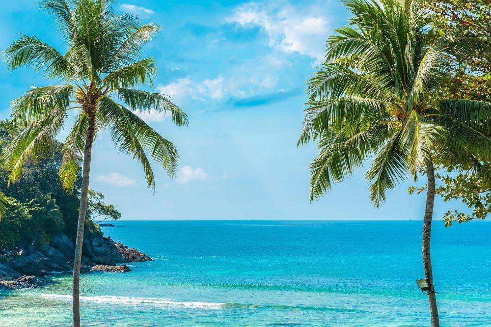 10 Pantai di Medan yang Cocok Buat Healing dan Hunting Foto - lifeforstock.jpg