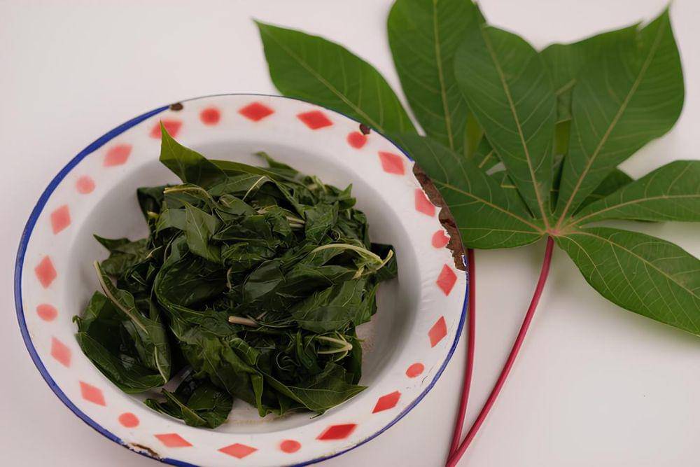 Daun singkong yang sudah direbus