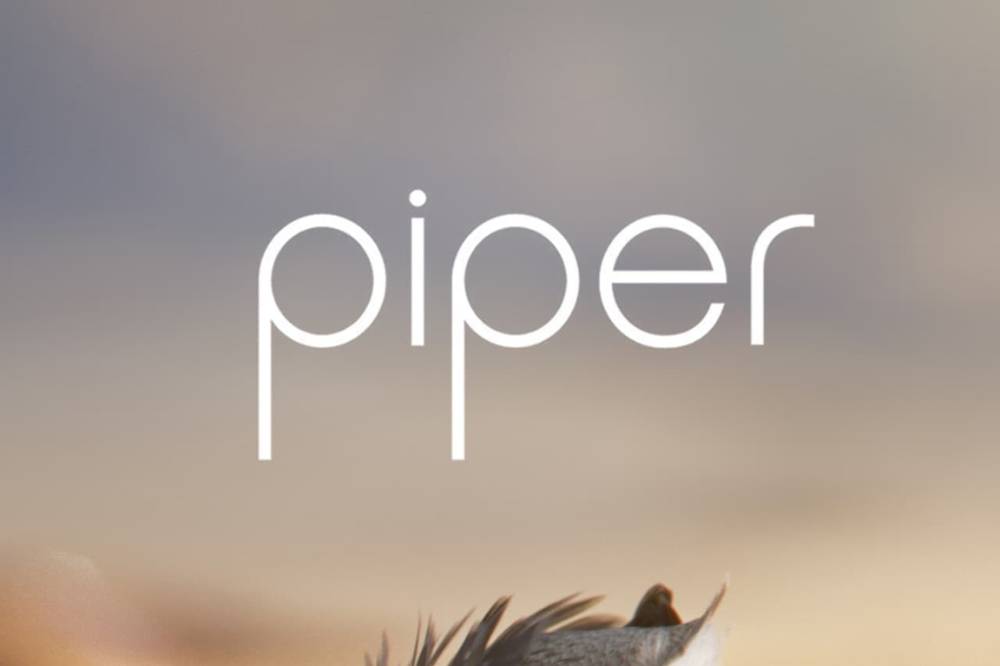 Piper