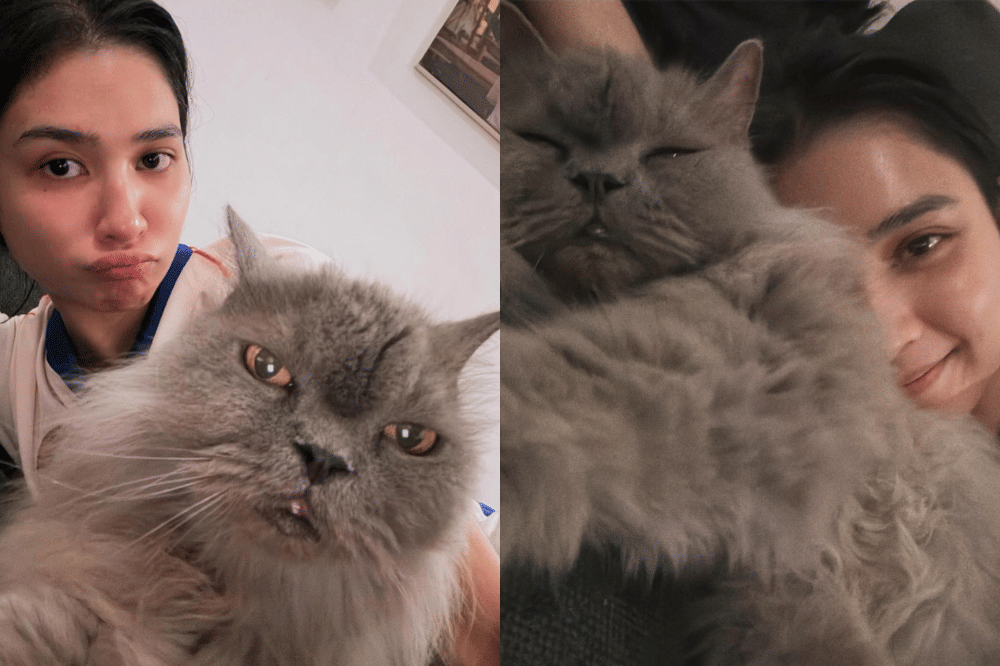 Punya Tiga Kucing Louis, Zesty, dan Bora Mahenra, Mikha Tambayong Simulasi Tanggung Jawab Keluarga