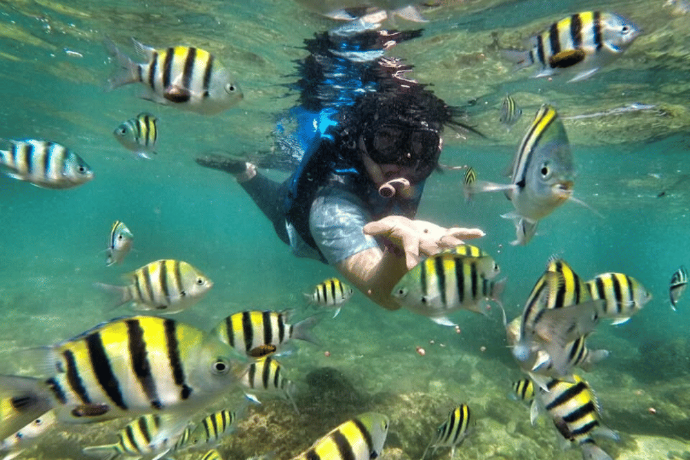 13. 17 Wisata Gunung Kidul yang Wajib Dikunjungi, Lagi Viral!.png