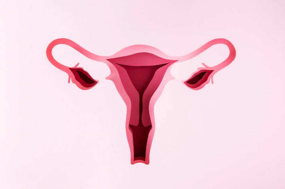 Gejala menopause saat menyusui (2).png