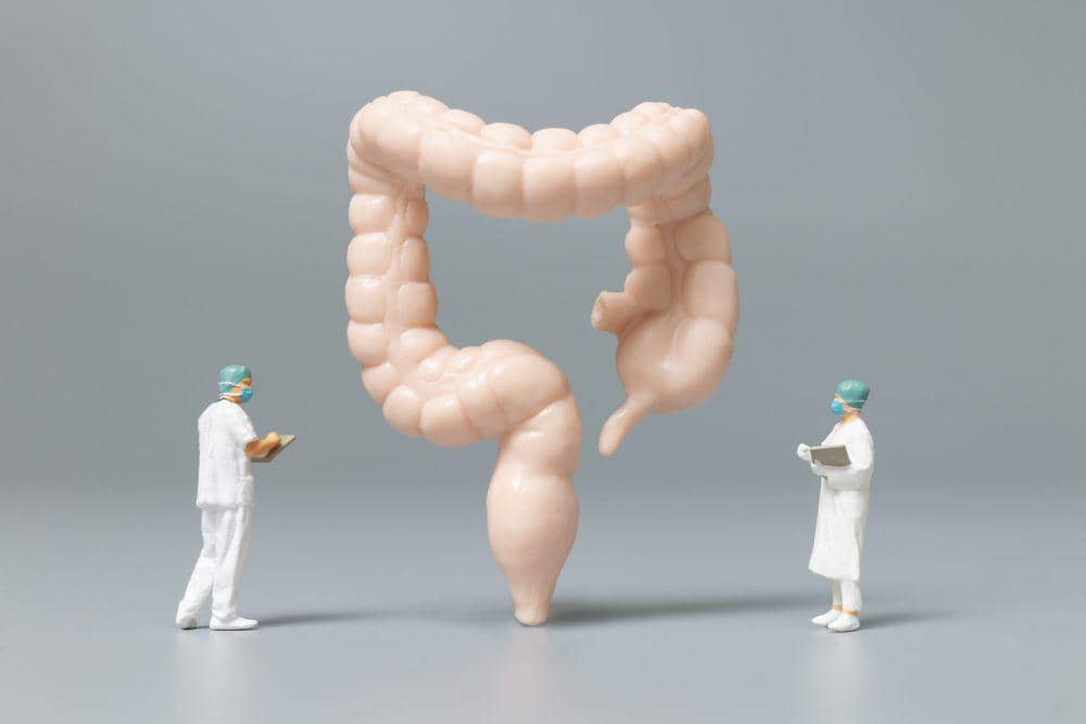 ilustrasi sistem pencernaan