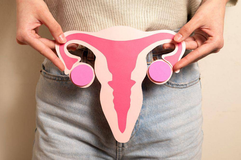 ilustrasi vagina.jpg
