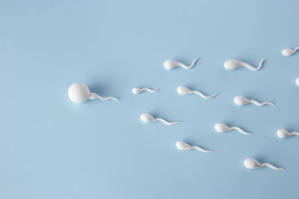 Sperma.png