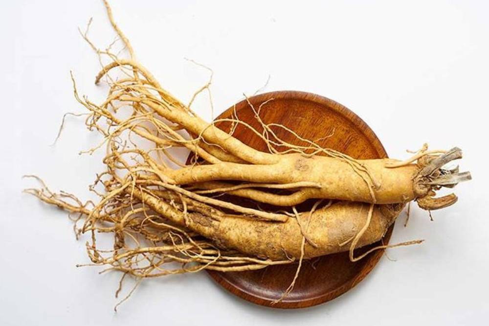 Ginseng.png