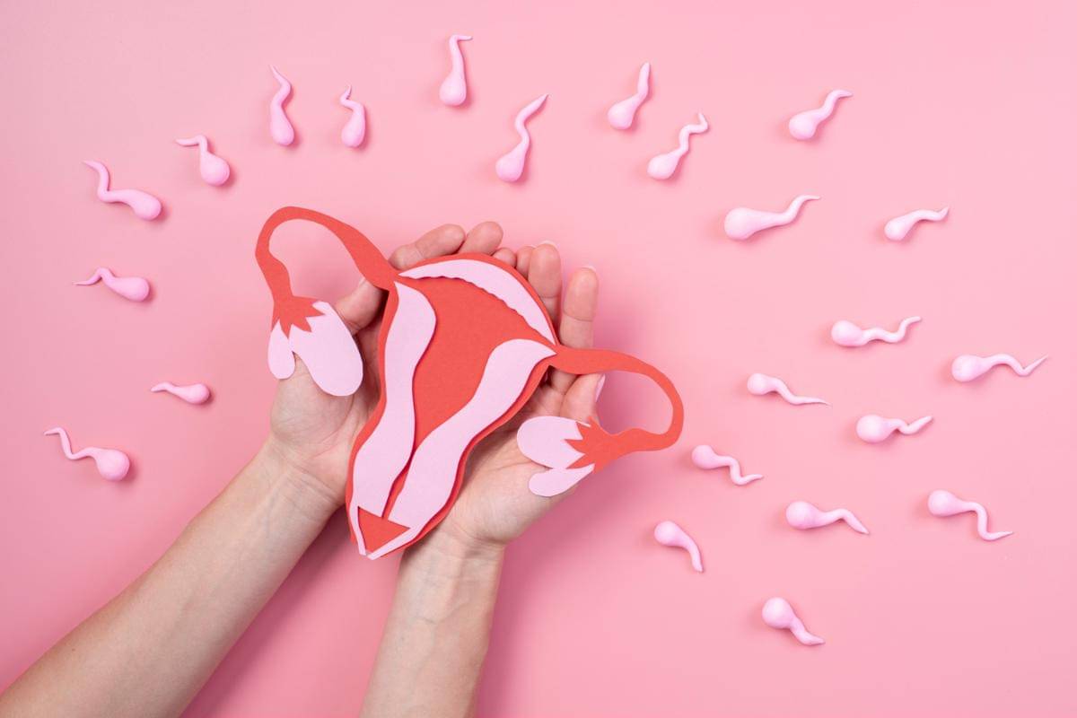 Ilustrasi replika vagina dan sperma (freepik.com/freepik)