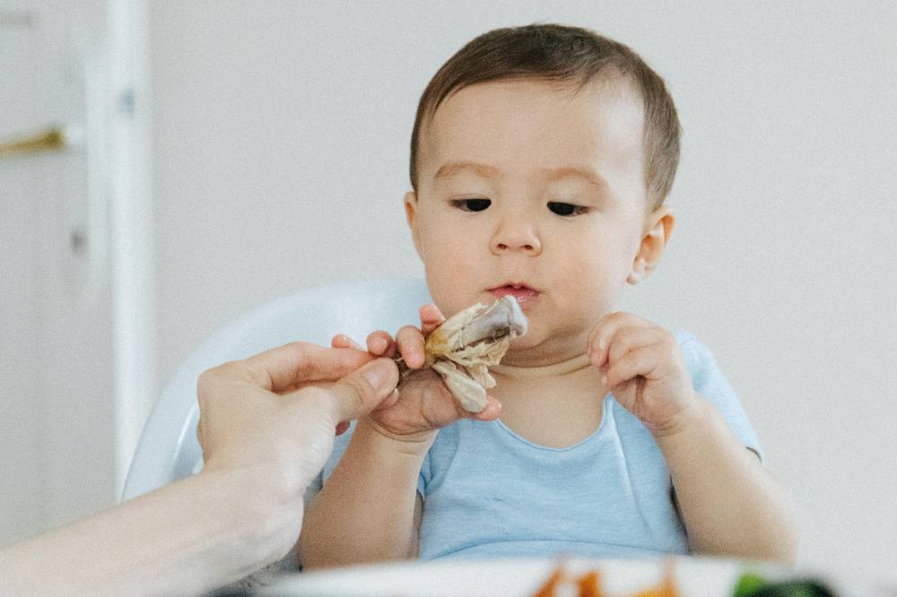Anak makan ayam
